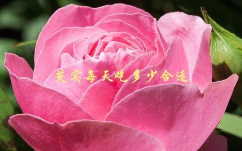 芡实每天吃多少合适，如何科学搭配饮食
