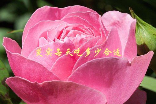 芡实每天吃多少合适，如何科学搭配饮食-1
