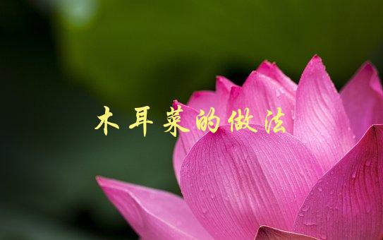 木耳菜的做法(怎样做才能让菜更加美味可口)-1