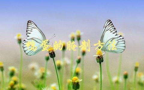 鸭蛋的腌制方法(怎样做出口感鲜美的腌鸭蛋)