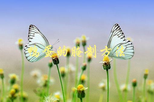 鸭蛋的腌制方法(怎样做出口感鲜美的腌鸭蛋)-1