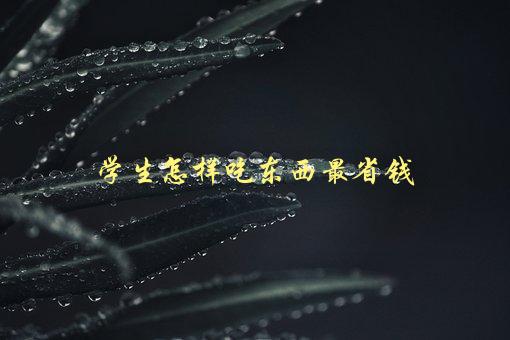 学生怎样吃东西最省钱，有哪些实用的省钱技巧-1