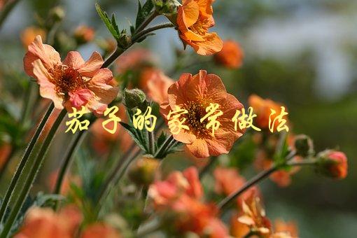 茄子的家常做法(有哪些简单易学的菜谱推荐？)-1
