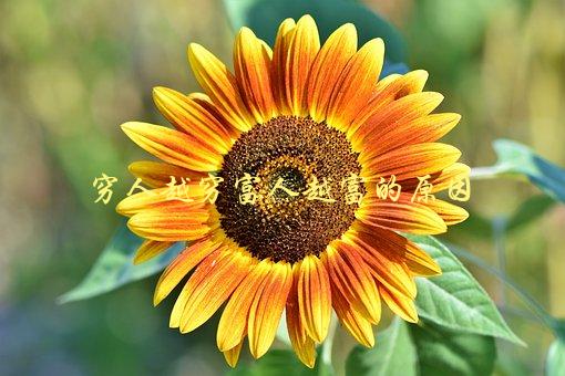 穷人越穷富人越富的原因，为什么贫富差距越来越大？-1