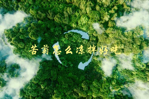 苦菊怎么凉拌好吃(有哪些口感更佳的配料推荐)-1