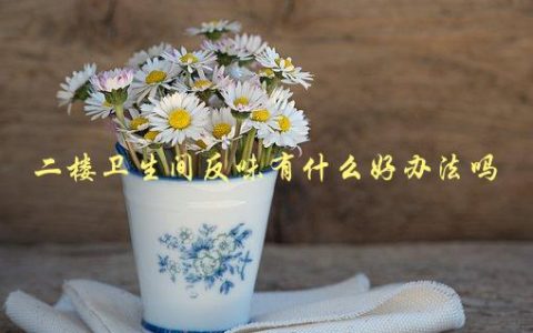 二楼卫生间反味有什么好办法吗，如何有效消除异味