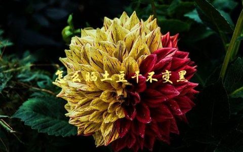 怎么晒土豆干不变黑，5个小技巧让你轻松解决