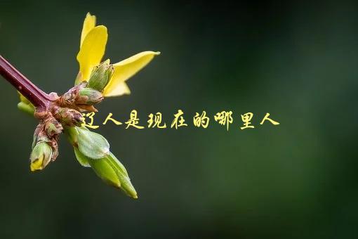 辽人是现在的哪里人，历史考证揭秘-1