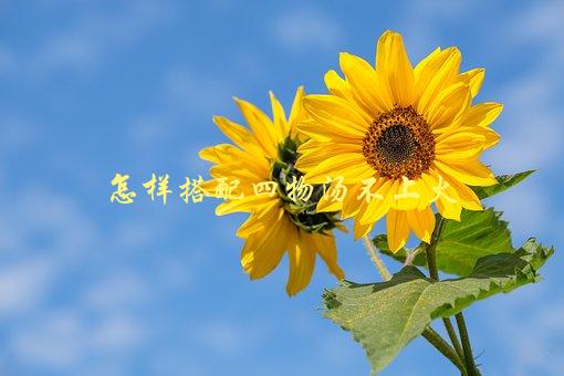 怎样搭配四物汤不上火，有哪些好的搭配方式-1