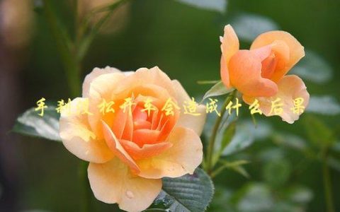 手刹没松开车会造成什么后果，了解一下这些安全知识