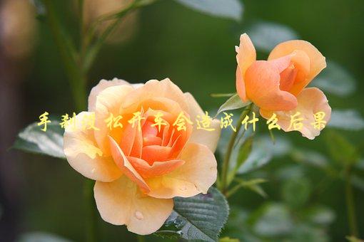 手刹没松开车会造成什么后果，了解一下这些安全知识-1