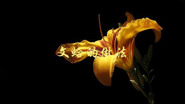 文蛤的做法(如何制作美味的文蛤料理)-1
