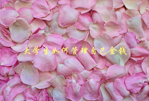 大学生如何管理自己金钱，五个实用技巧-1