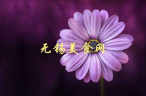 无锡美食网(哪些美食值得一试)-1