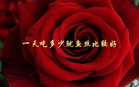 一天吃多少鱿鱼丝比较好，营养师给出建议