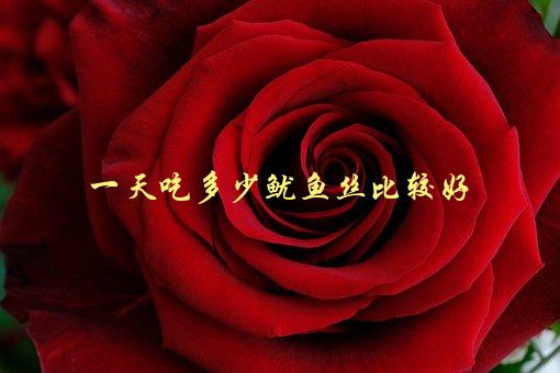 一天吃多少鱿鱼丝比较好，营养师给出建议-1