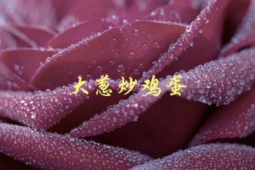 大葱炒鸡蛋(如何做出口感松软的鸡蛋)-1