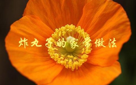 炸丸子的家常做法(怎样做出酥脆美味的丸子？)
