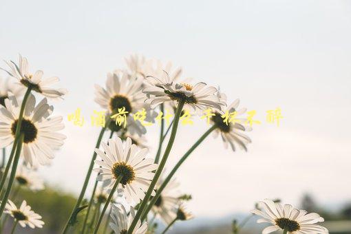 喝酒前吃什么千杯不醉，有哪些科学有效的方法-1