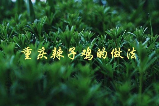 重庆辣子鸡的做法(怎样才能做出正宗的口感)-1