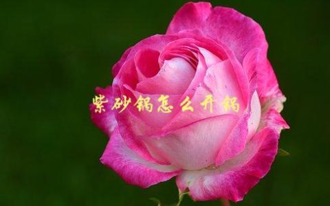 紫砂锅怎么开锅，小技巧让你轻松掌握