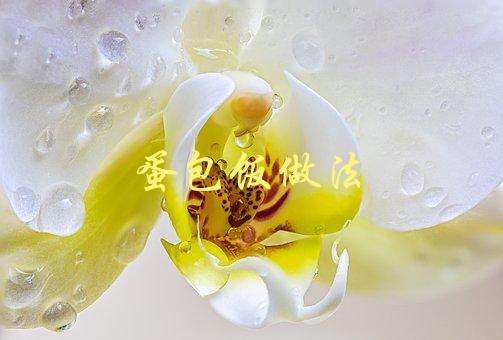 蛋包饭做法(如何轻松制作美味蛋包饭)-1