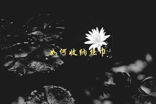 如何收纳丝巾，让你的衣柜更整洁有序-1