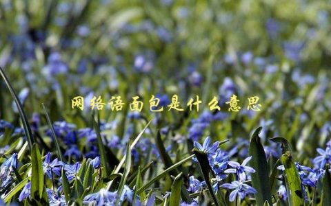 网络语面包是什么意思，解释网络流行语面包