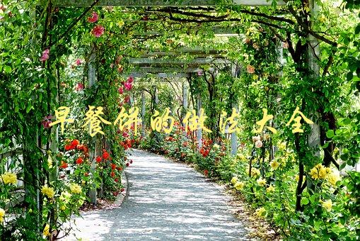 早餐饼的做法大全(如何轻松制作美味早餐饼)-1