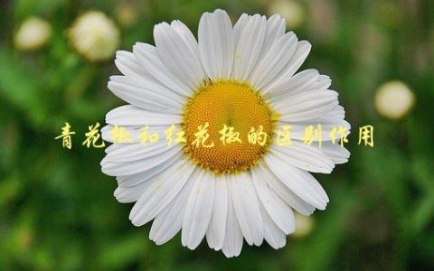 青花椒和红花椒的区别作用，你知道吗？