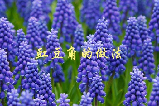 豇豆角的做法(怎样才能让口感更加鲜嫩可口)-1