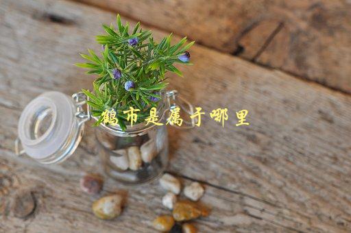 鹤市是属于哪里，详解江苏省常州市鹤山区-1