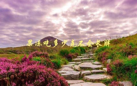 果冻吃多少克不会长胖，究竟有多少热量？