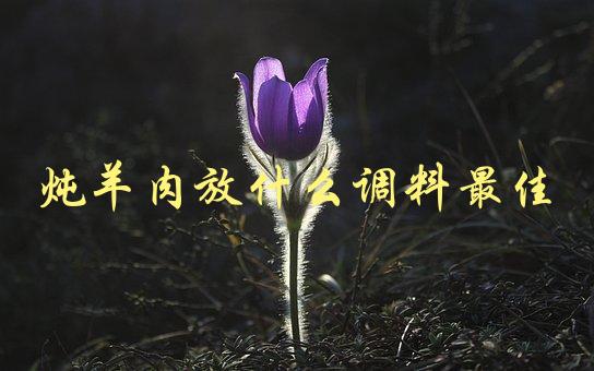炖羊肉放什么调料最佳(推荐的调料搭配有哪些)-1