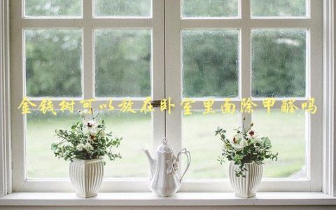 金钱树可以放在卧室里面除甲醛吗，真相揭秘