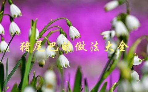 猪尾巴的做法大全(哪些烹饪方法最适合猪尾巴？)