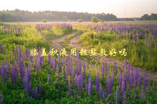 膝盖积液用粗盐敷好吗，医生怎么说-1