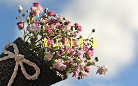 淮山排骨汤(有哪些功效和做法)