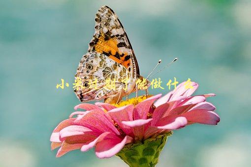 小米过期了能做什么，有哪些处理方法-1