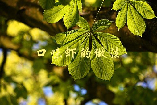 口味虾的做法(如何做出口感鲜美的口味虾)-1