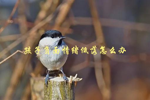 孩子负面情绪低落怎么办，家长必看的应对方式-1