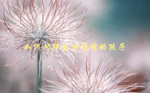如何对待发泄情绪的孩子，有效的情绪管理技巧