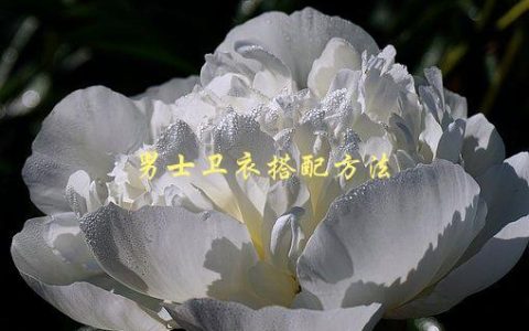 男士卫衣搭配方法，如何让你的穿搭更有品位