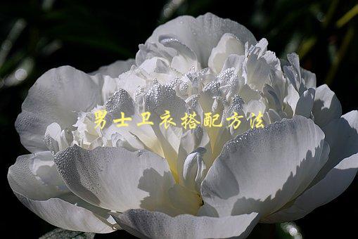 男士卫衣搭配方法，如何让你的穿搭更有品位-1