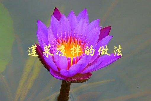 莲菜凉拌的做法(怎样做出清爽可口的莲菜凉拌)-1