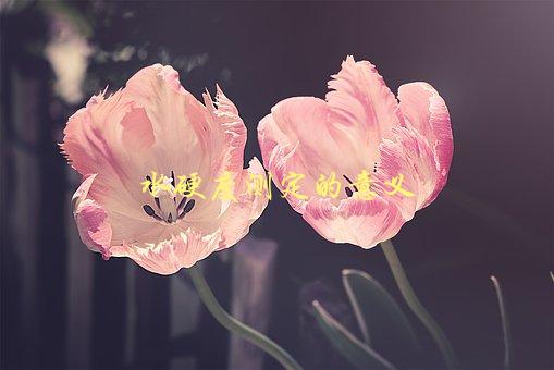 水硬度测定的意义，为什么需要测试水硬度-1