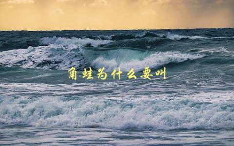 角蛙为什么要叫，揭秘角蛙的命名由来