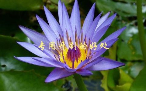 专用牙刷的好处，为什么要使用专门的牙刷刷牙