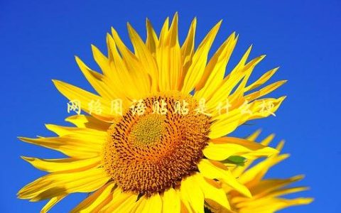 网络用语贴贴是什么梗，了解一下这个新词汇