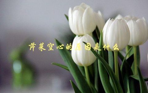 芹菜空心的原因是什么，为什么会出现这种情况